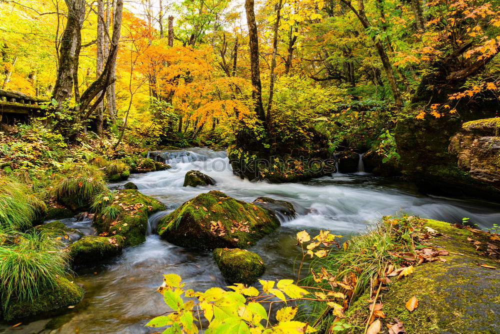 Similar – The Creek at the Yoro Waterfall in Gifu, Japan