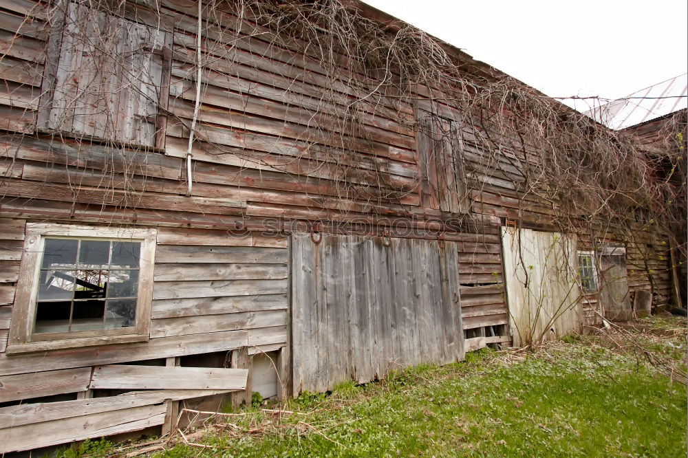 Similar – barn Barn Wood