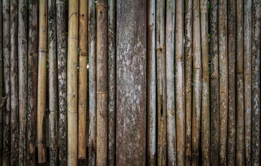 Similar – Wood in front of the hut