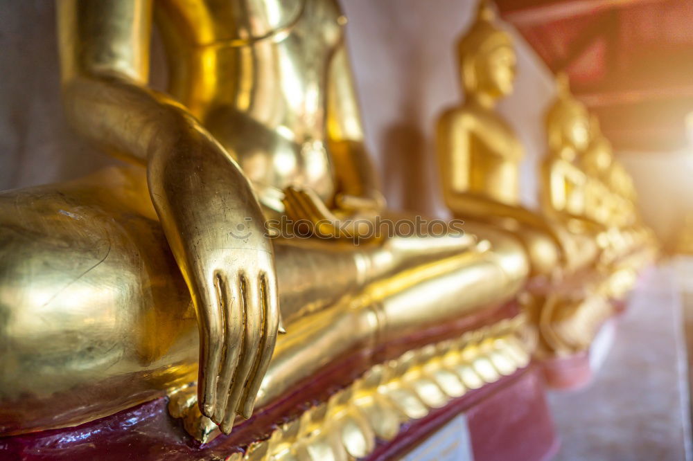 Similar – Image, Stock Photo Temple in Hanoi, Viet Nam