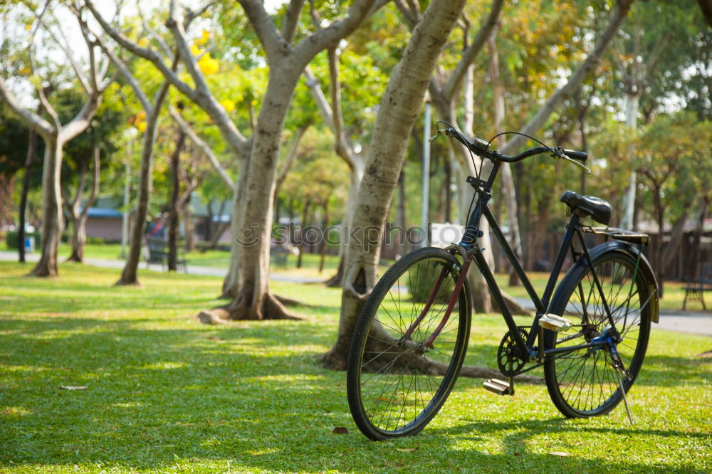 Similar – Image, Stock Photo hit and run Kiddy bike