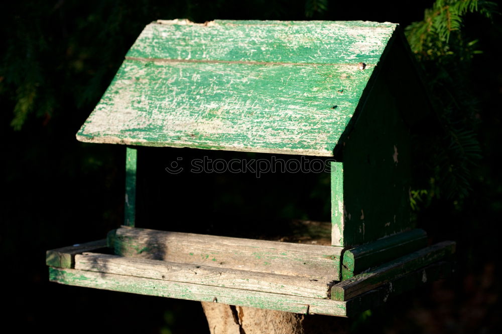 Similar – Homemade birdhouse for the winter made of old grey wood at the edge of the forest on a farm in Rudersau near Rottenbuch in the district of Weilheim-Schongau in Upper Bavaria