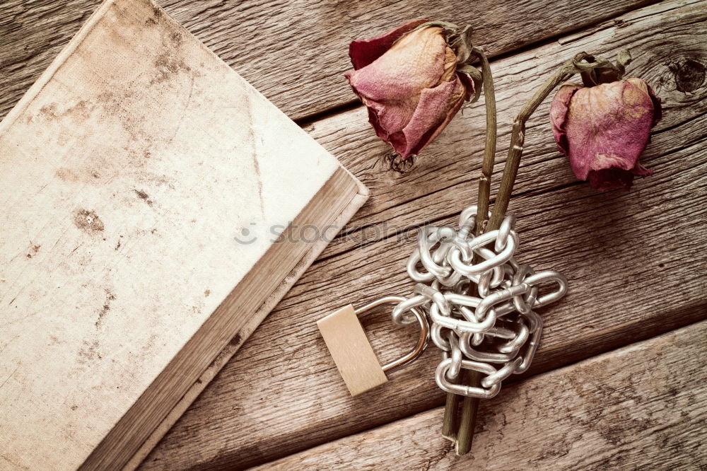 Similar – Image, Stock Photo Flowers and old scissors on wet wooden table