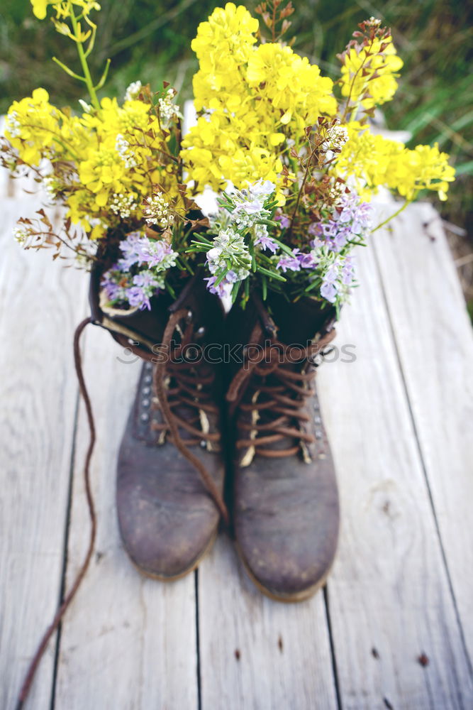 Old and dirty boots filled with flowers