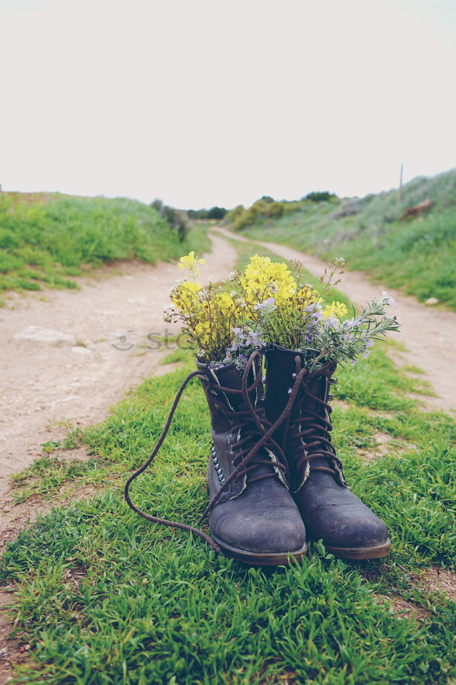 Foto Bild Stiefel gefüllt mit Blumen auf einem ländlichen Weg