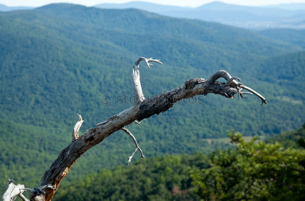 Similar – Hiking boots with view