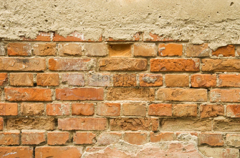 Similar – Aufbruch Mauer Wand