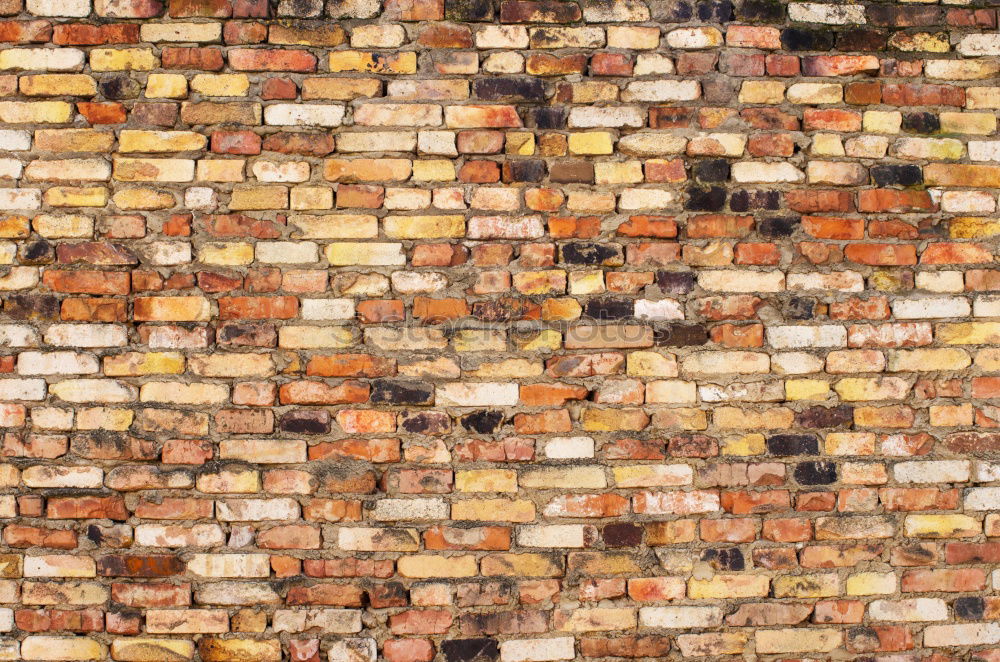 Similar – Image, Stock Photo  loading=