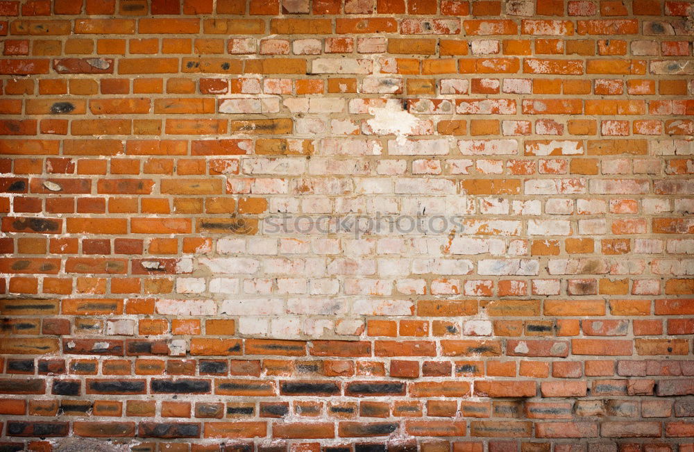 Similar – masonry Wall (barrier)