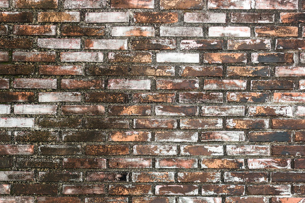 Similar – Image, Stock Photo another brick wall