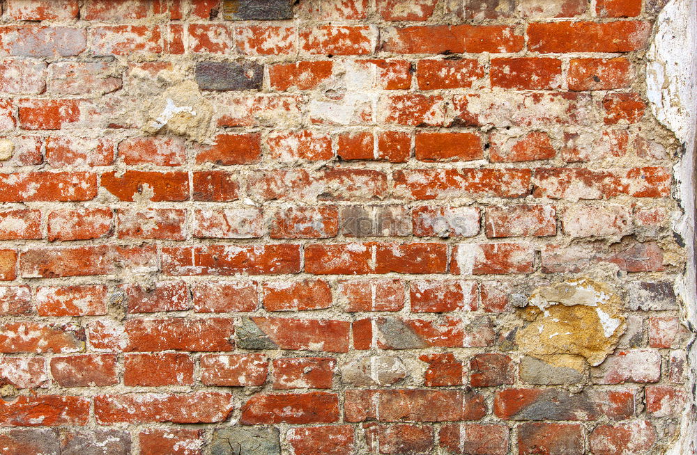 Similar – Abgefallener Putz an Backsteinwand. Verwitterte  Wand aus Backstein, Naturstein und marodem Putz. Sanierungsbedürftig