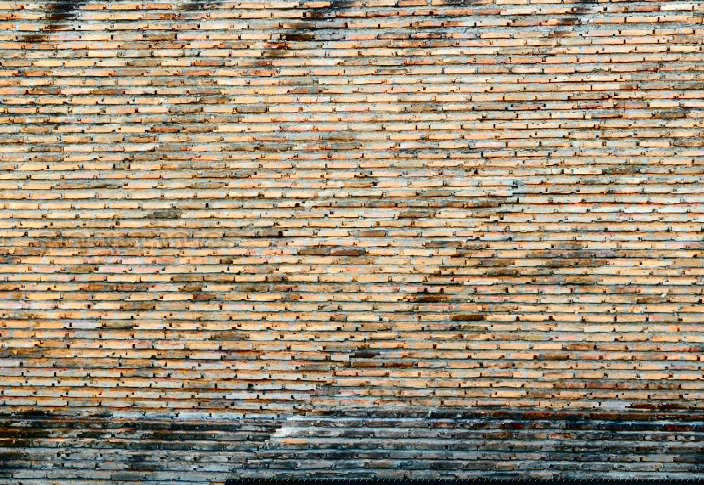 Similar – Image, Stock Photo much wall = little sky