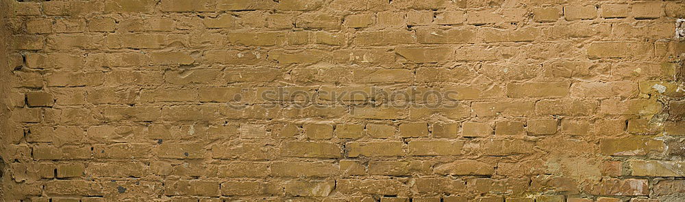 Similar – Image, Stock Photo wall edge Wall (building)