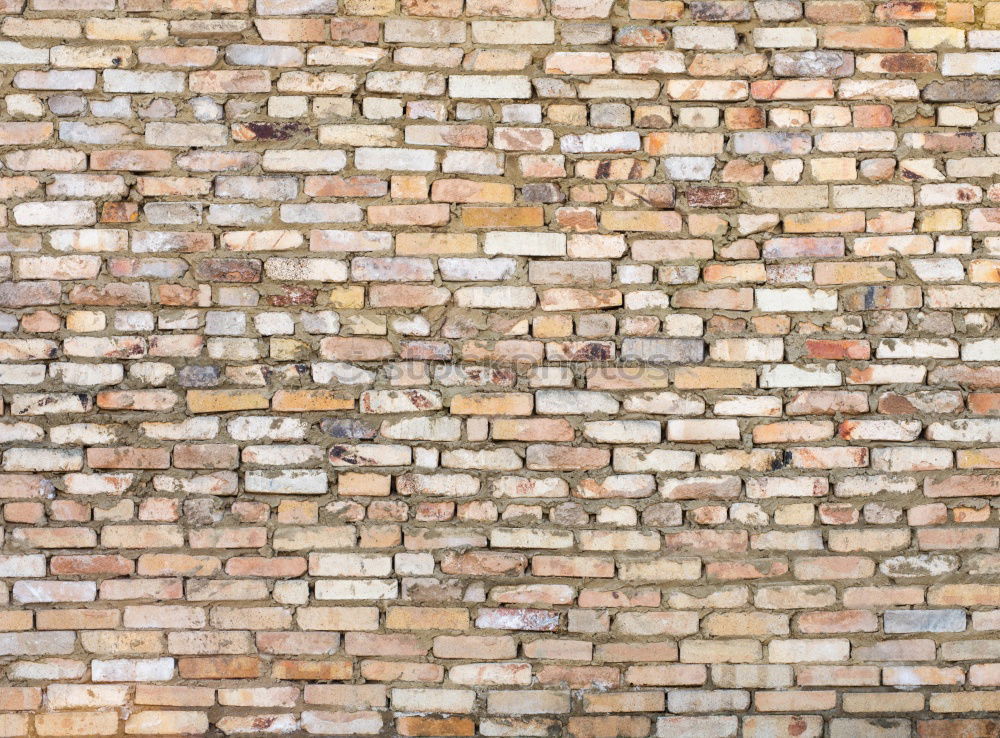 Similar – Climbing wall on brick wall