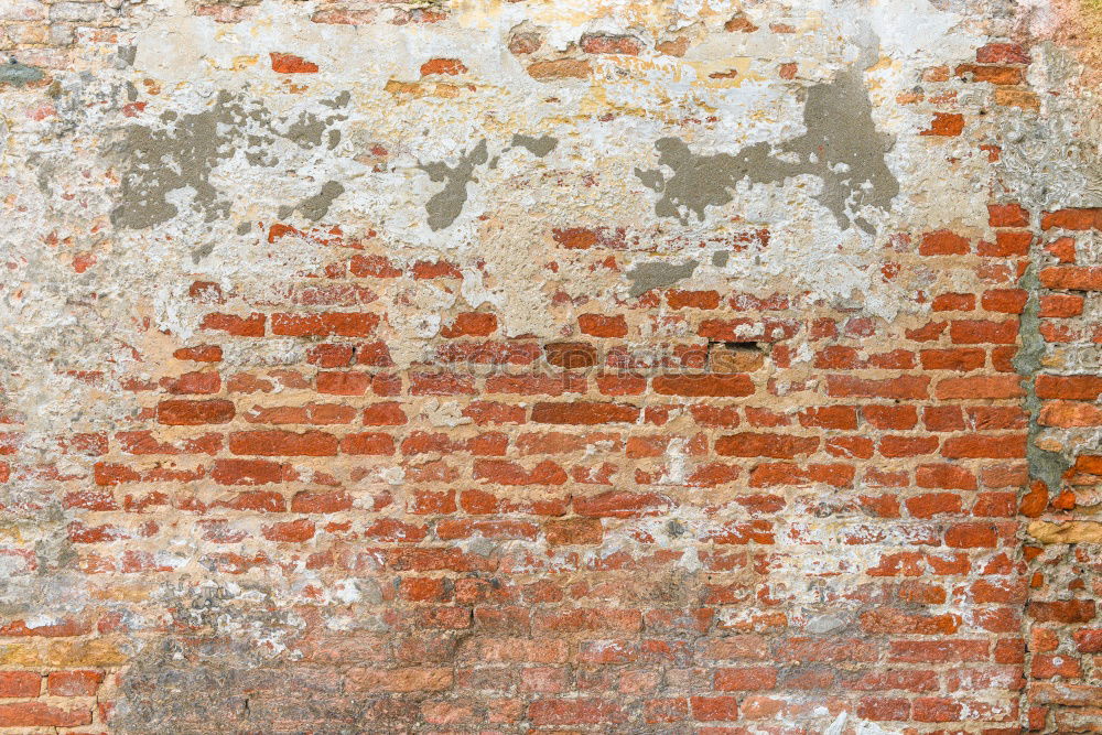 Similar – masonry Wall (barrier)