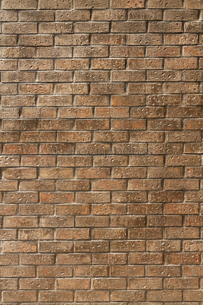 Similar – bricked-up Wall (barrier)