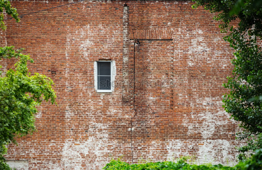 Similar – Garten-Gebäudeintegration durch Komplettbewuchs