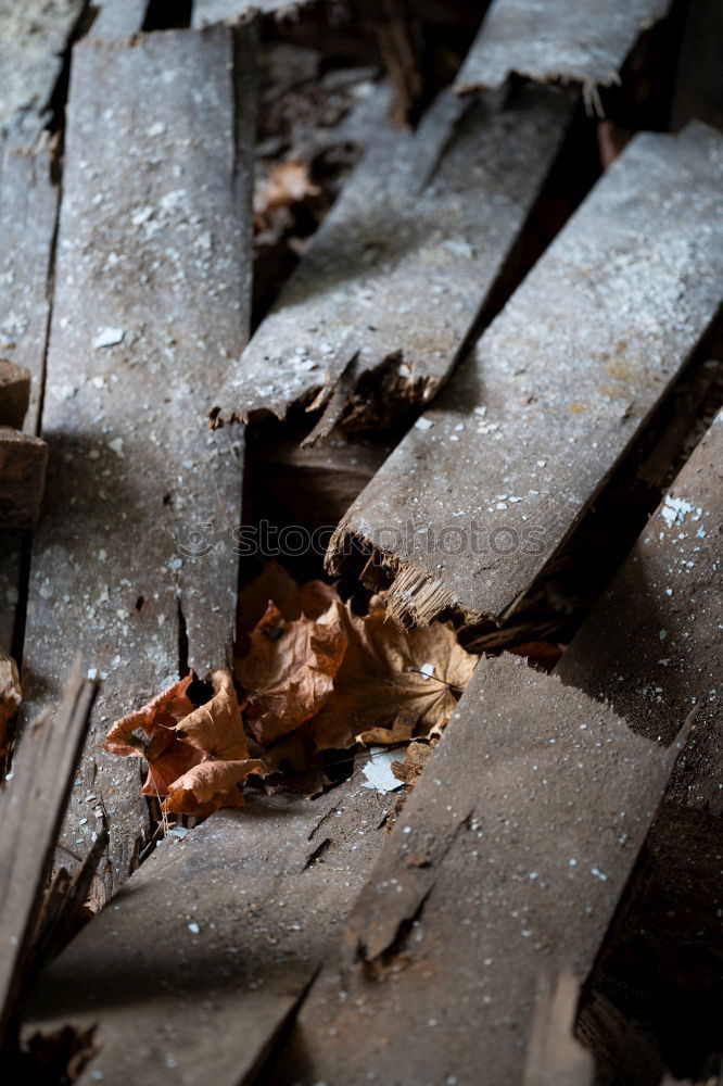 Similar – Image, Stock Photo industrial action Trash