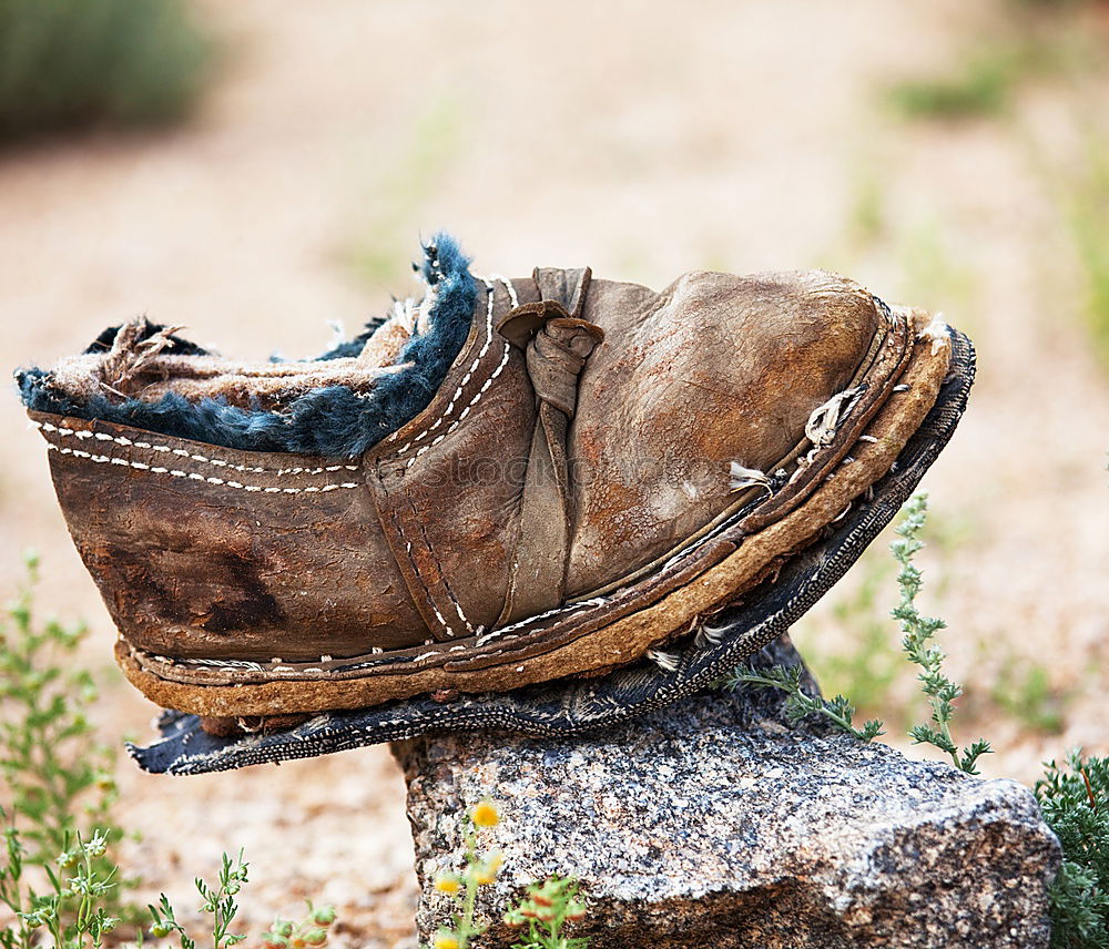 Similar – Image, Stock Photo Hiking adventure in the woods and forest