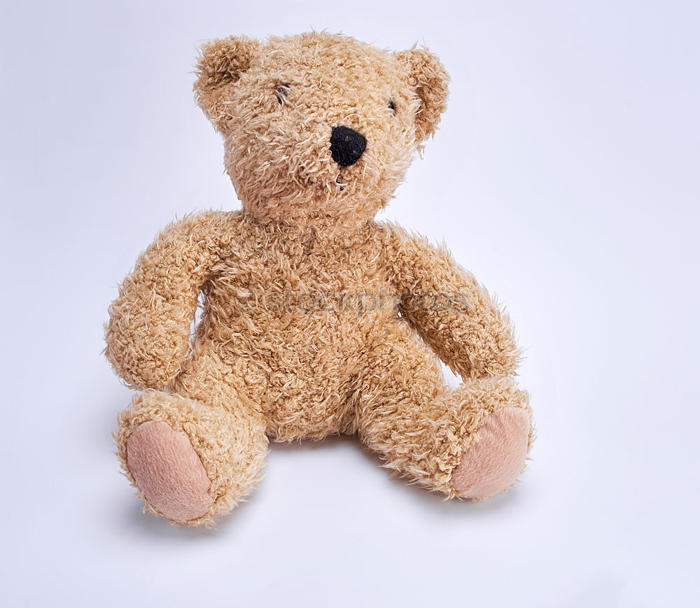 Similar – Image, Stock Photo teddy bear in a knitted multi-colored scarf