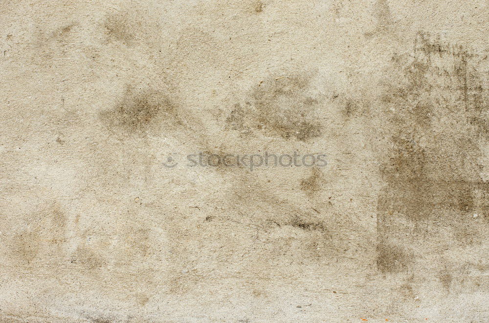Similar – Foto Bild leicht wellig Tapete Raum
