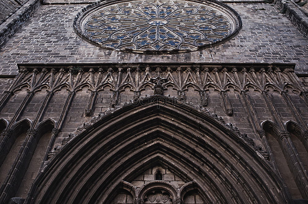 Similar – Santa Maria del Fiore I