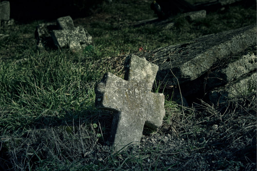 Similar – cemetery bells Cemetery