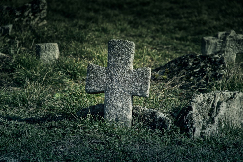 Similar – Image, Stock Photo Celtic tombstones in Cornwall