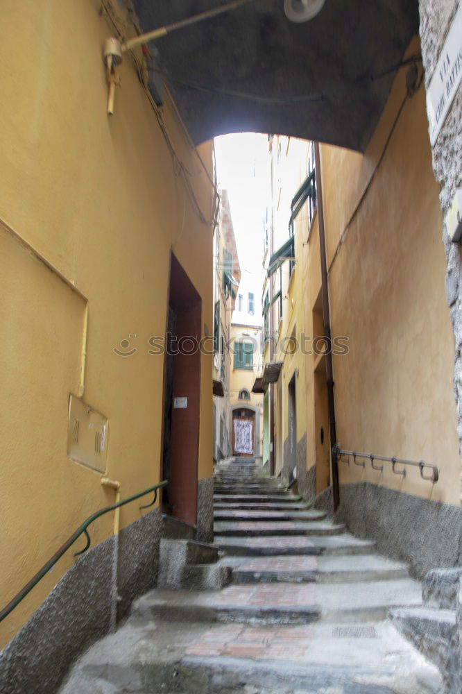 Similar – Image, Stock Photo Ladders of fortune