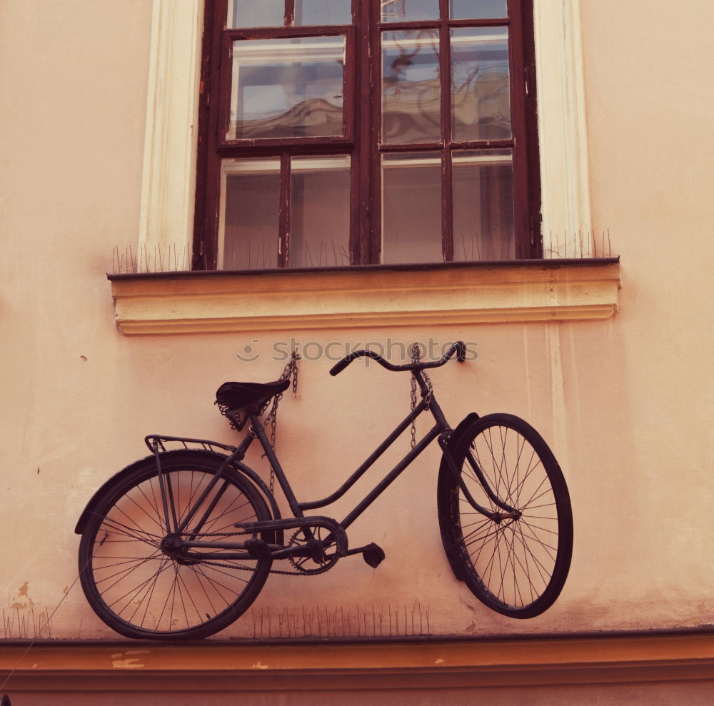 Similar – das rad Fahrrad Zebra