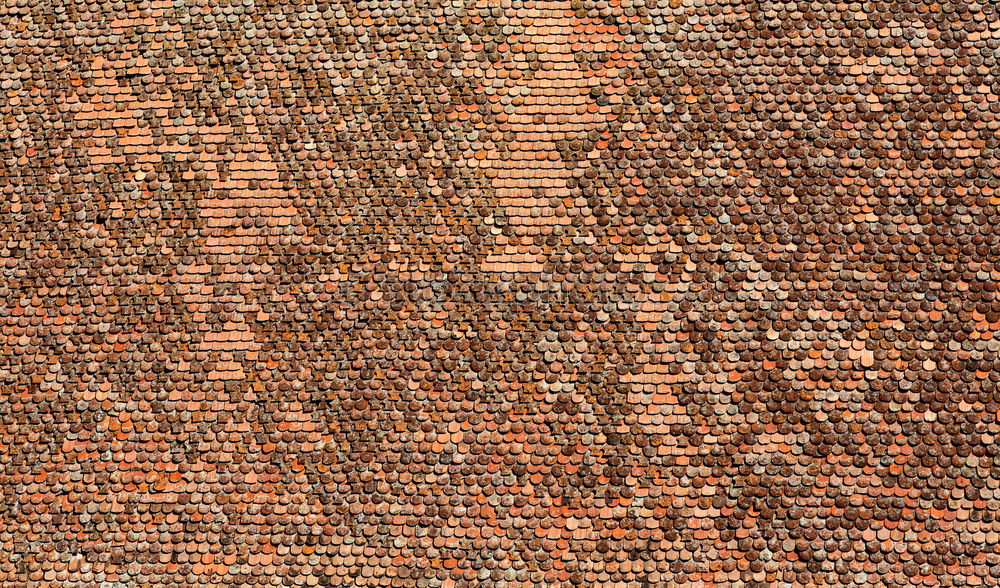 Similar – Image, Stock Photo roof tiles on ancient church