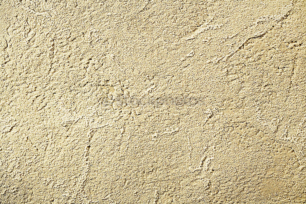 Similar – Image, Stock Photo Dendrite in limestone rock. found in solnhofen (Germany)
