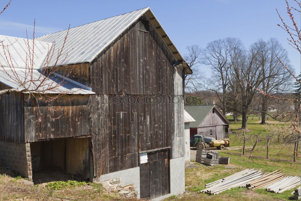 farmyard Agriculture