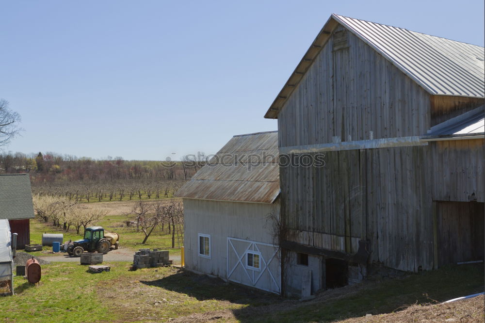 Similar – farmyard Agriculture