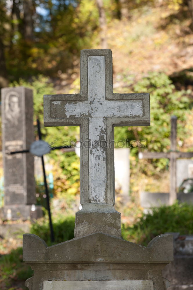 Similar – An old quiet graveyard in Macao, China