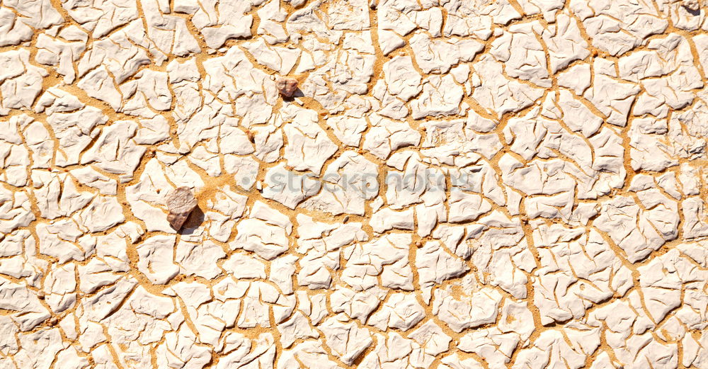 Image, Stock Photo in oman rub al khali old desert and the