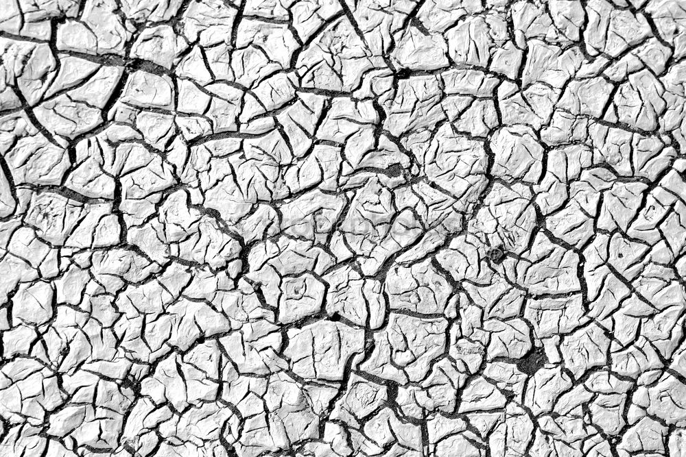 dry earth Dry Pattern Hot