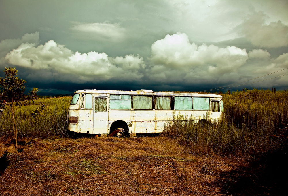 Similar – Image, Stock Photo summer dachshund Caravan