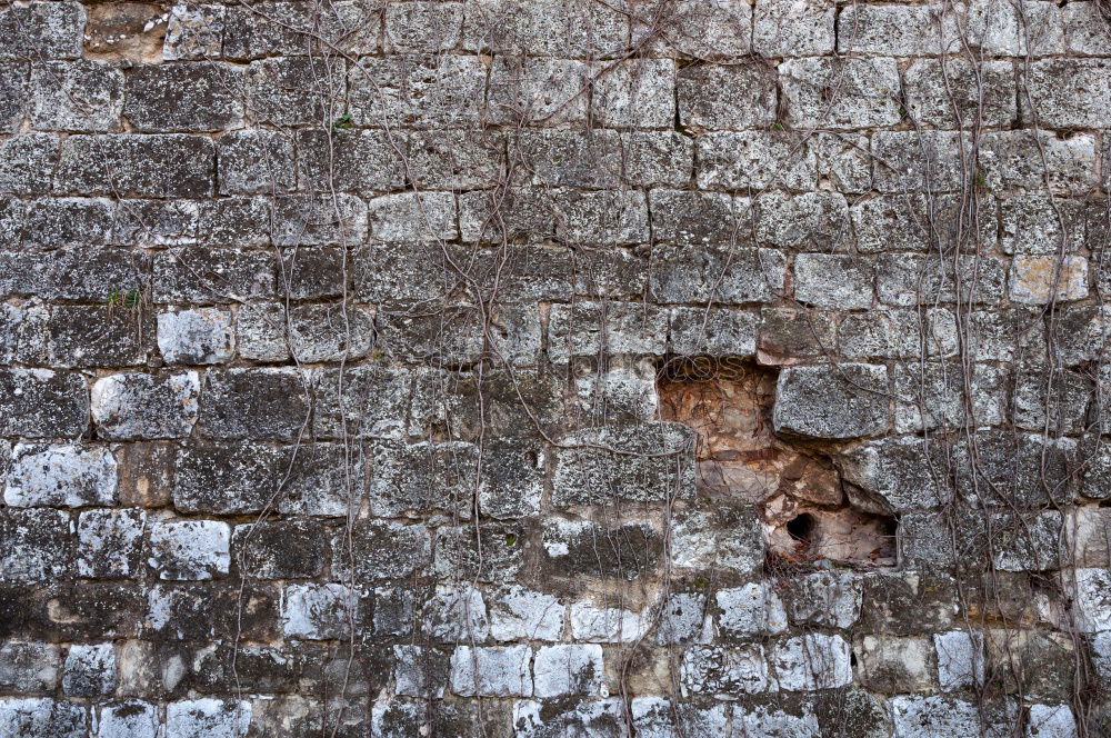 Similar – verwittert Haus Mauer Wand