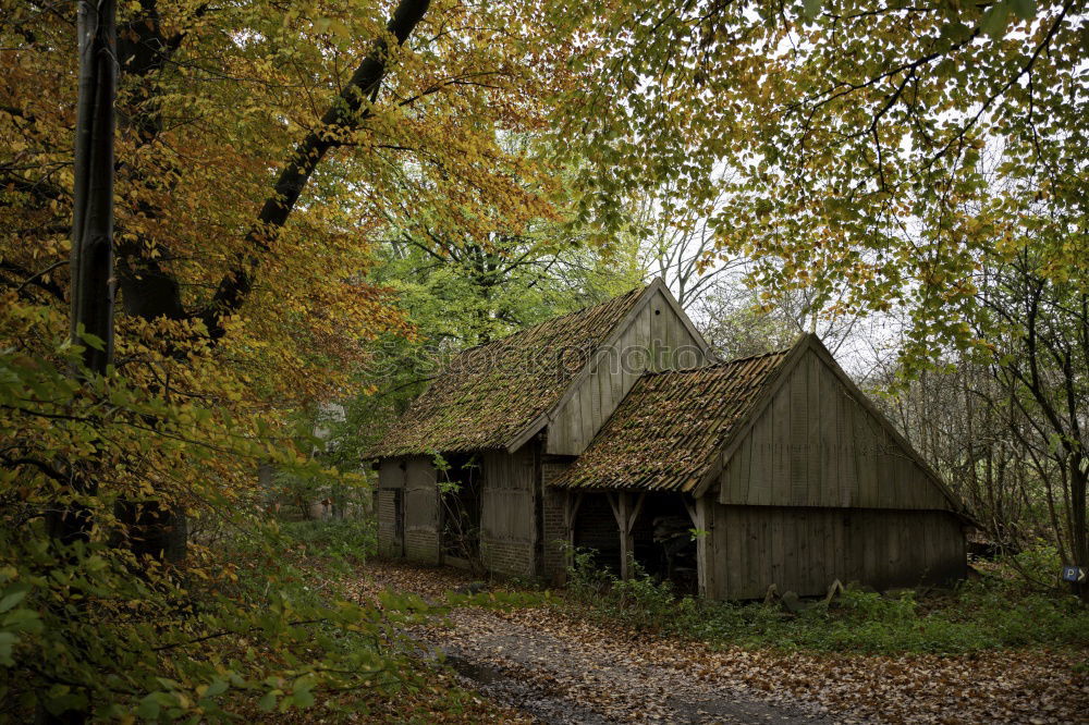 Similar – Foto Bild Heuerhaus kurz vorm Abriss