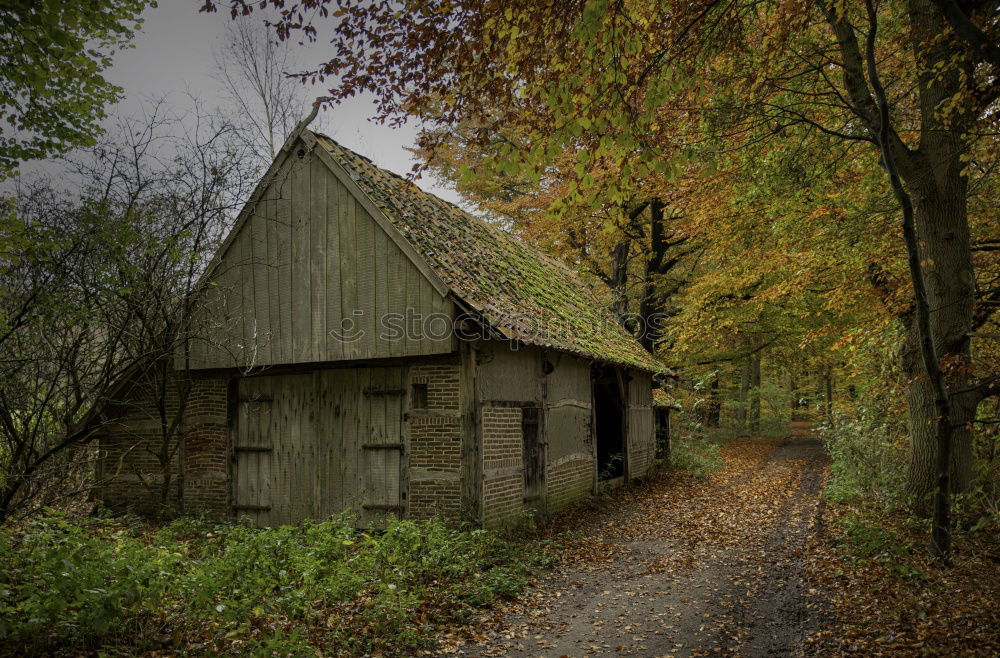 Image, Stock Photo Autumnal decay Hut