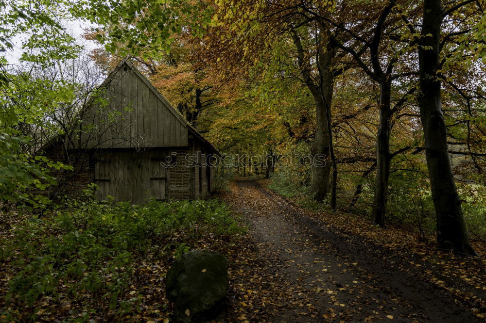 Similar – Foto Bild Heuerhaus kurz vorm Abriss