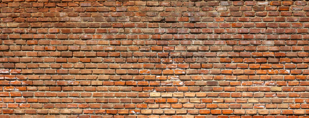 Similar – Image, Stock Photo the wall Colour photo