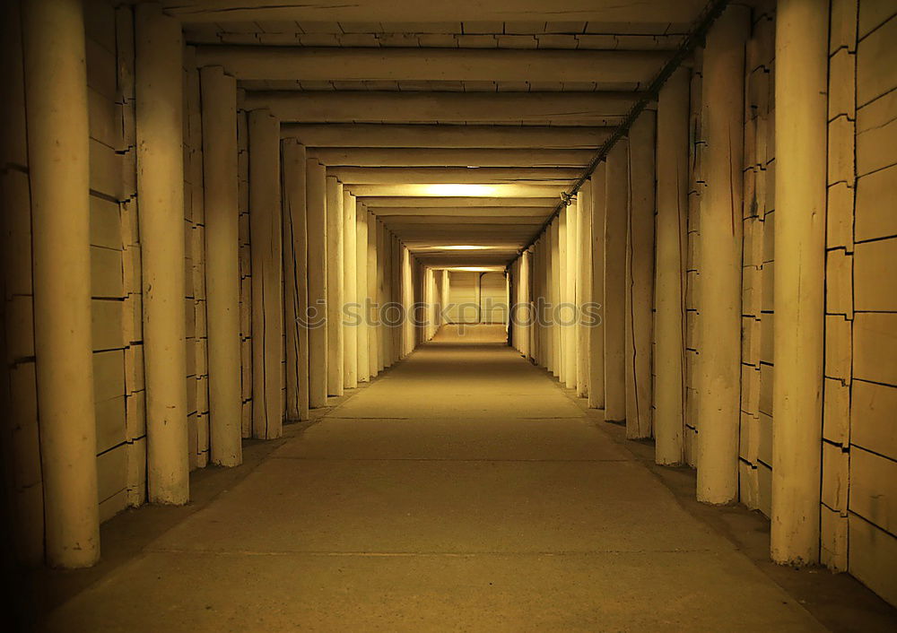 Similar – Image, Stock Photo Crowd in the Tiergarten Tunnel