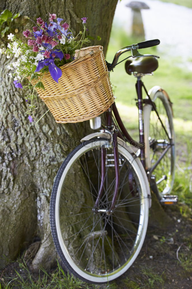 Similar – Handlebar of a red bicycle with black bicycle basket and kitschy cat figure with white flowers and blossoms in summer in the north end of Frankfurt am Main in Hesse, Germany