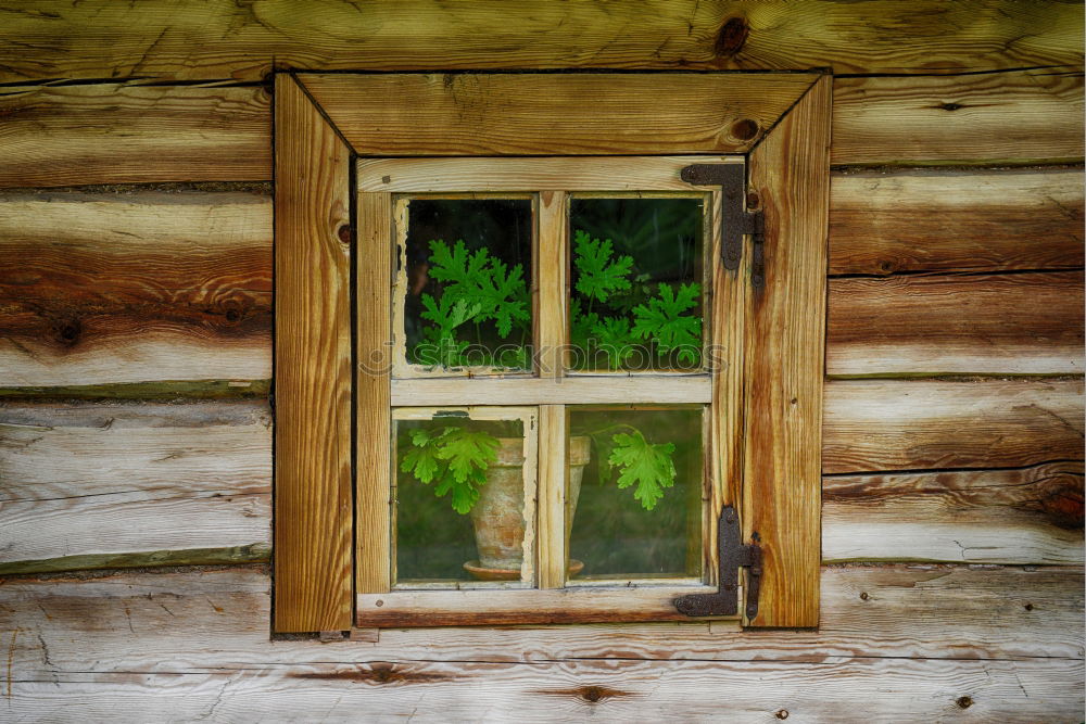 Image, Stock Photo Peace to the huts