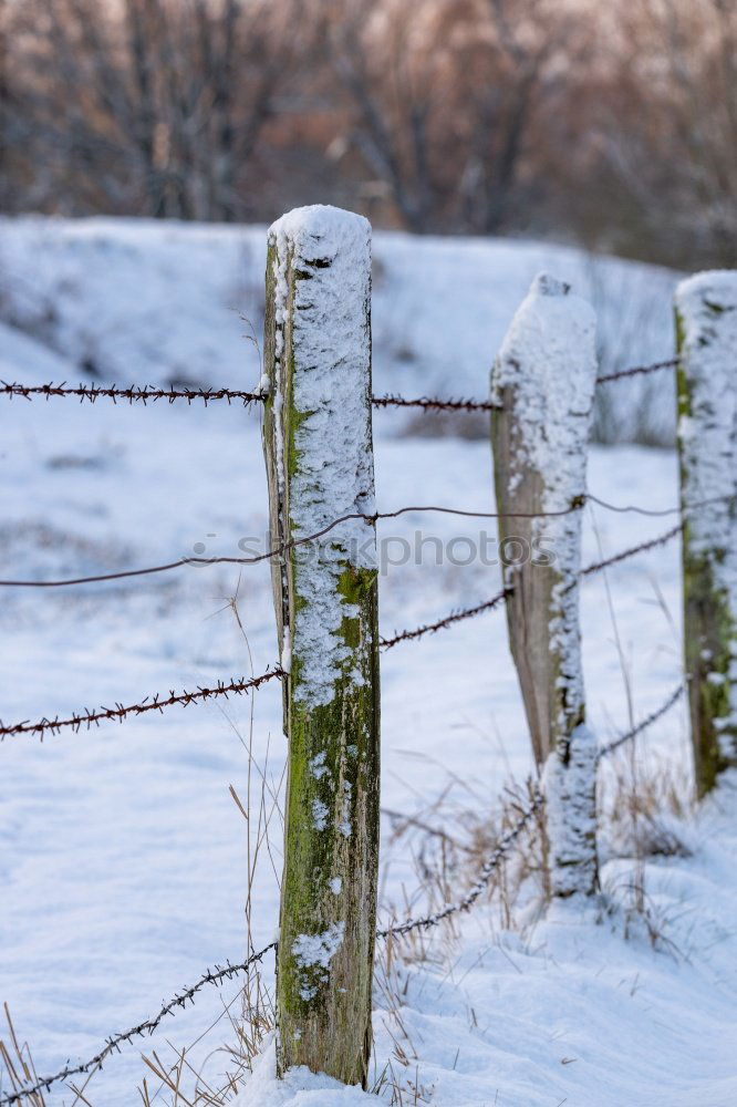 Similar – Snow on the Bodden Winter