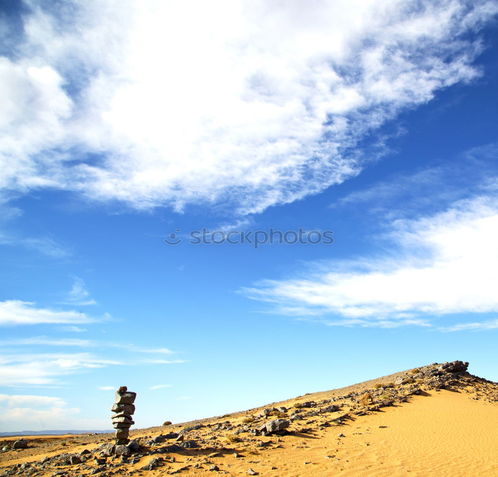 Similar – palm in the desert oasi