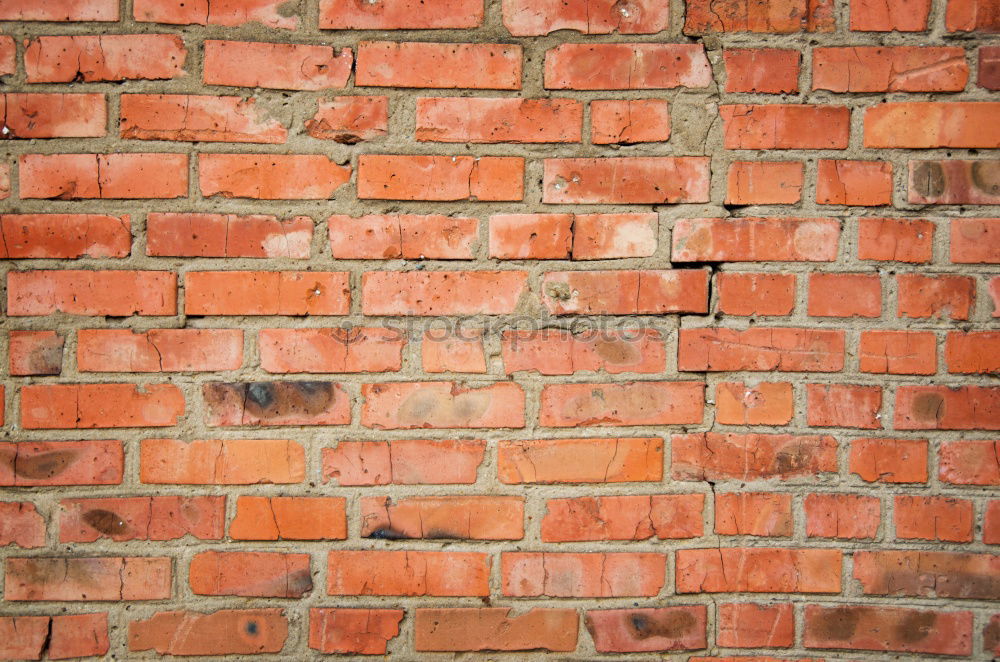 Image, Stock Photo another brick in the wall