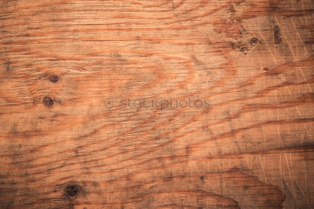 Similar – SEPARATED. Wood Wood grain